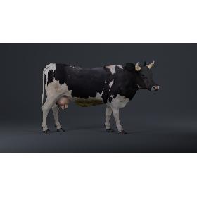 Holstein Cow 3D model